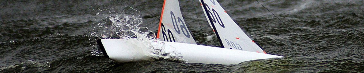 df95 france – dragonflite 95, voile radio commandée